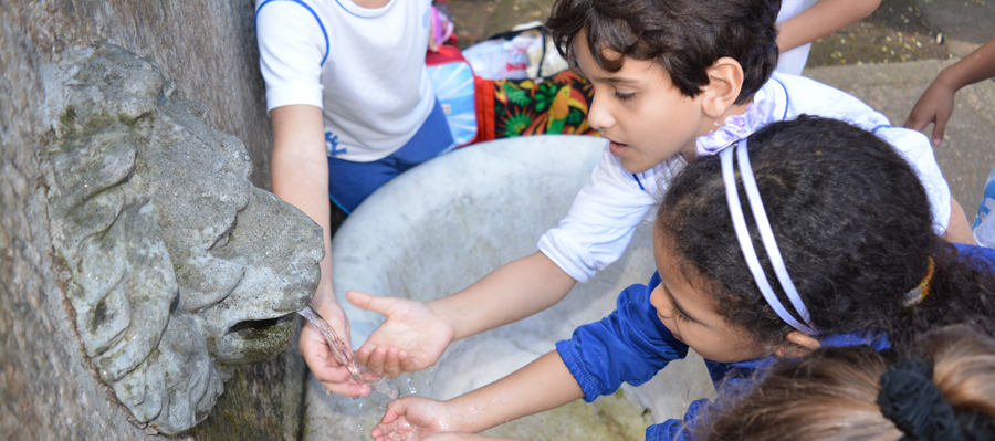 Zoé na Floresta da Tijuca
