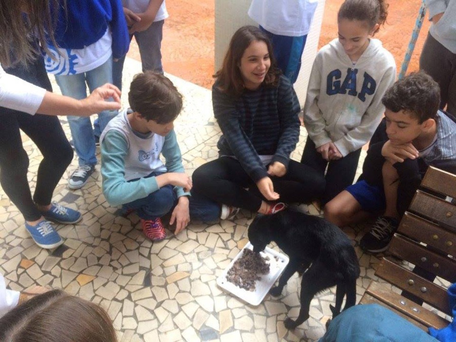 20160923estrelanegra2