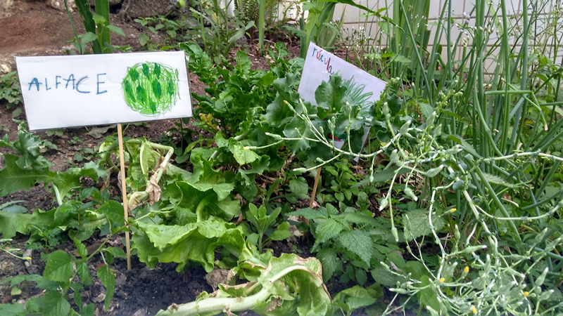 20170925 pormaisvidanaescola 02