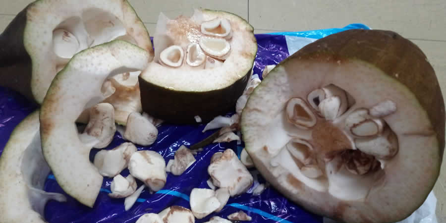 20190506 misteriorodafrutas 01