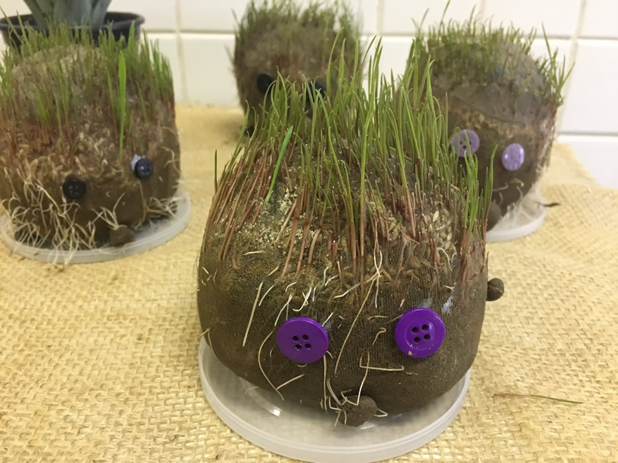 20190710 museunhandeva 03