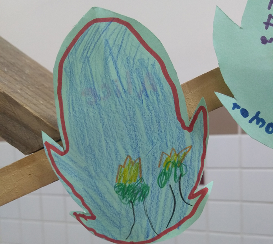 20190904 salvemamazonia 02