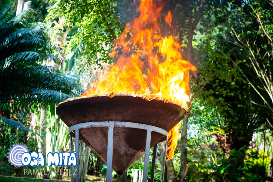 Jogos da Primavera 2019