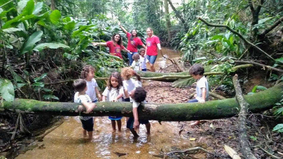 20191111 florestatijuca 12