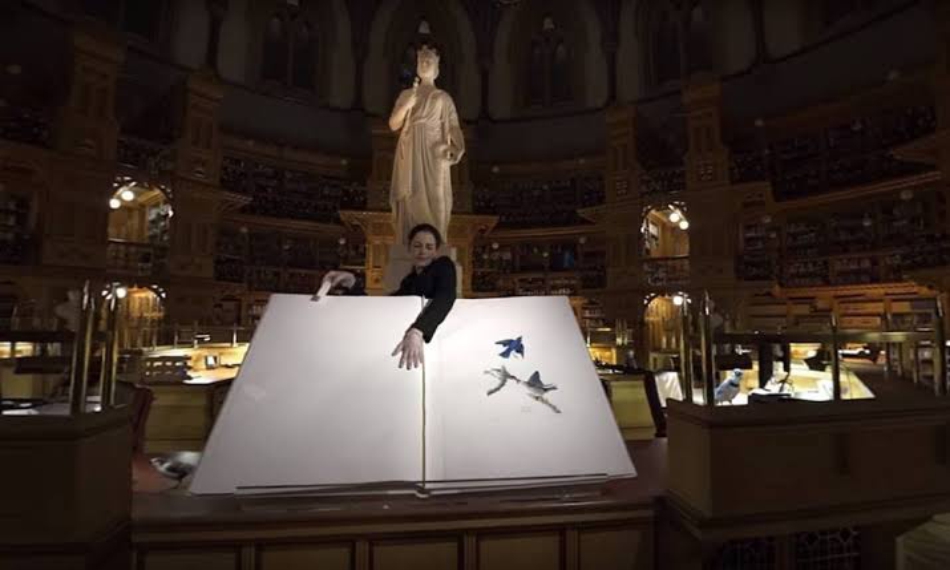 Dica para as férias – Imperdível!