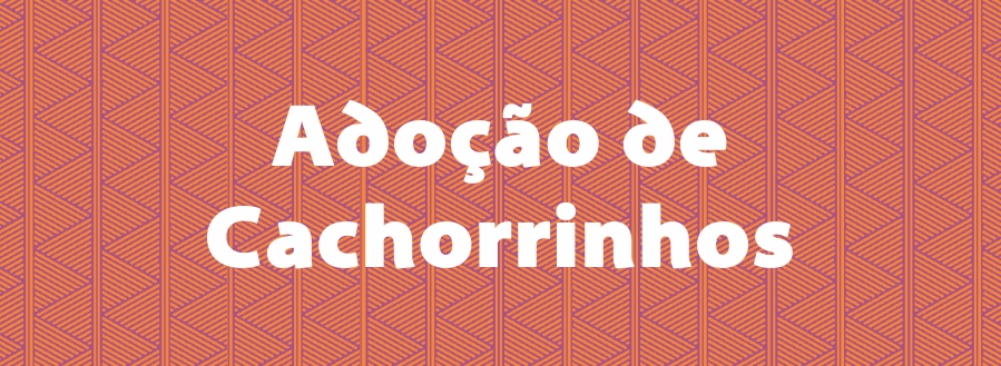 Adoção de Cachorrinhos