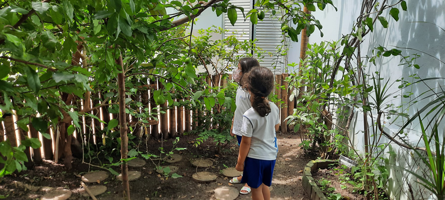 O meu quintal é maior do que o mundo