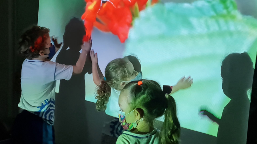 Ashaninka Tarde metamorfoseando