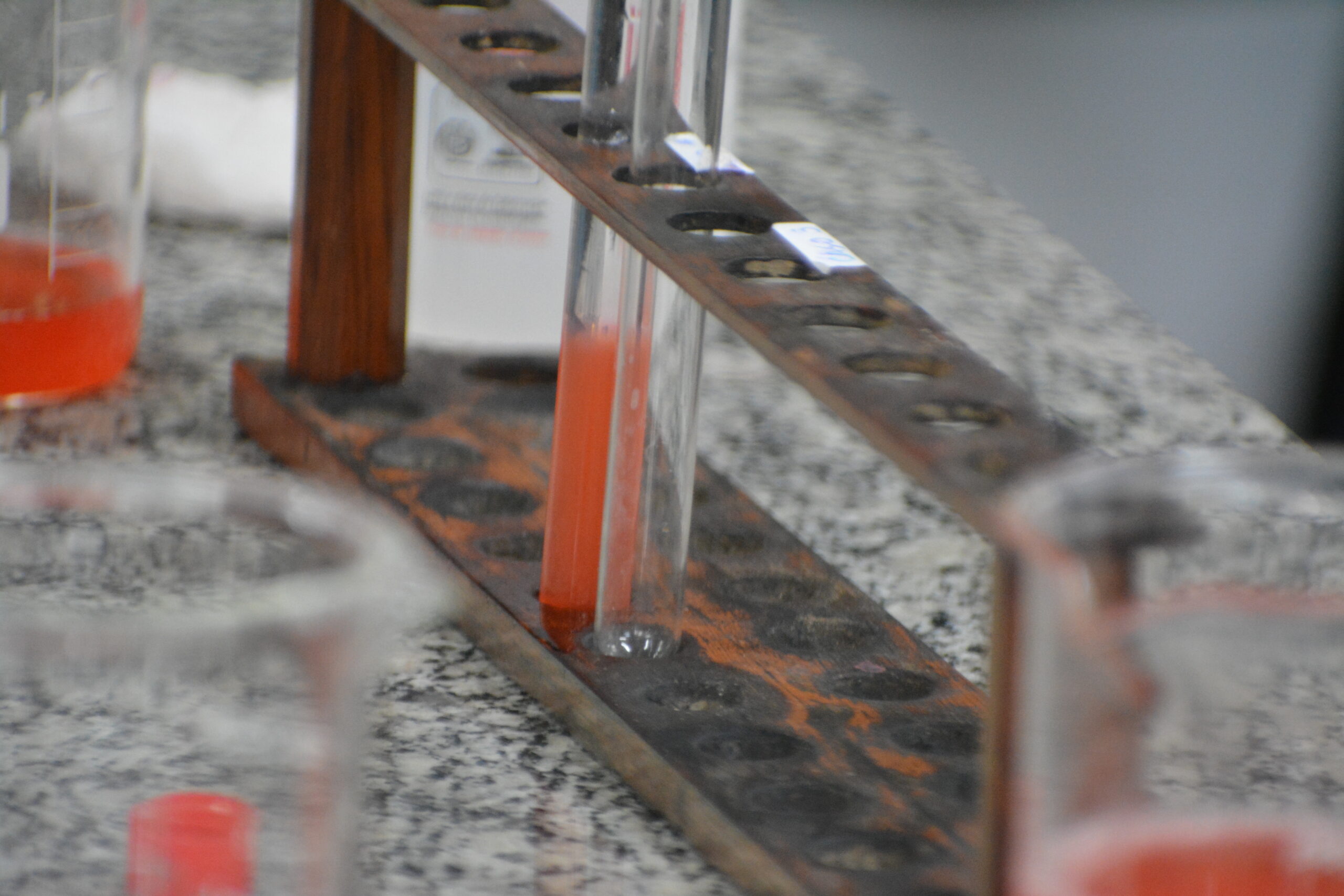 Feira de Ciências 2025