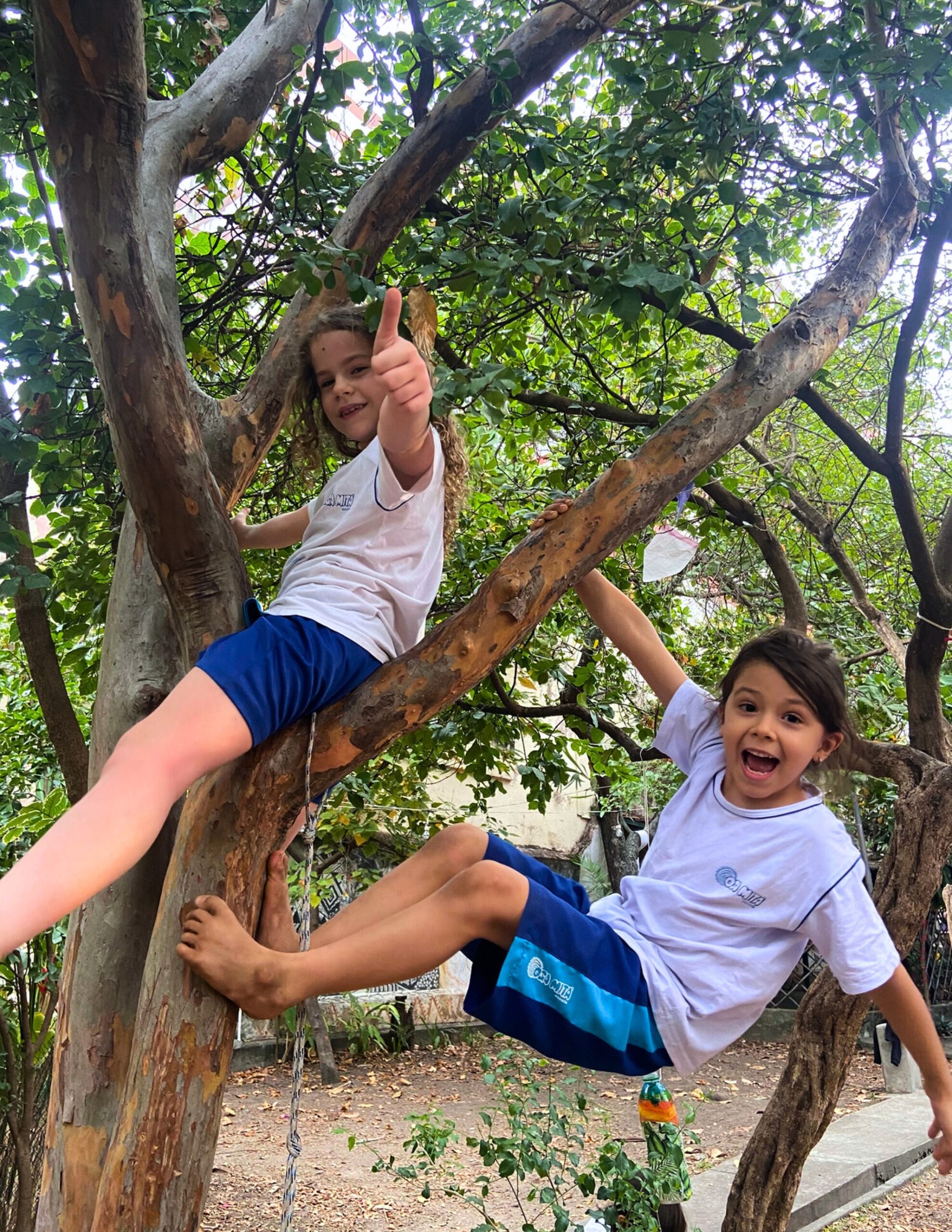 Aula-passeio ao TEAR